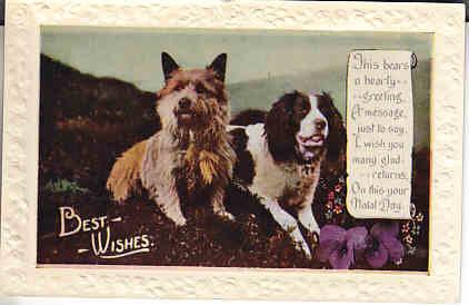 Dogs - Pair on Birthday Postcard