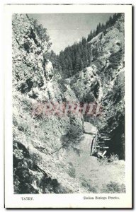 Old Postcard Tatry Dolina Bitago Potoka Poland