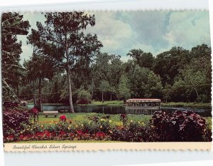 Postcard Beautiful Florida's Silver Springs, Florida