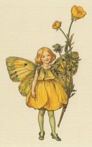 The Buttercup Flower Fairy Old Book Stunning Postcard