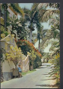 Spain Postcard - Santa Cruz De Tenerife - A Private House   RR2240