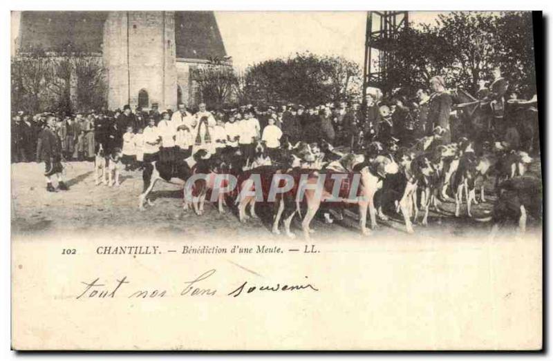 Old Postcard Hunting hounds has Benediction of Chantilly & # 39A pack Dogs Dog