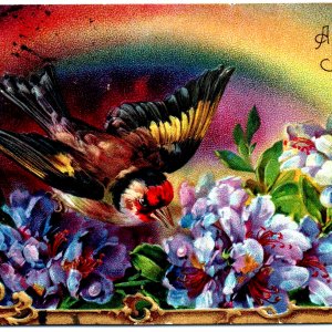 c1910s European Goldfinch Bird Happy Birthday Colorful Postcard Rainbow Lily A86