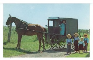 PA - Amish/Mennonite Culture. Amish Children, Horse & Buggy