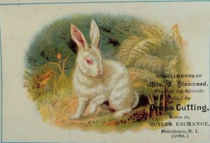 Mrs. Stanwood Scientific & Practical Dress Cutting White Rabbit In Forest P45