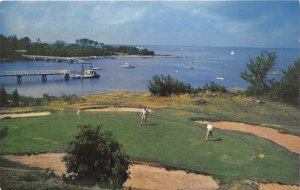 Woods Hole Cape Cod Massachusetts 1960s Postcard Golf Course