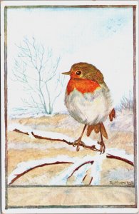 Artist Signed S. Kuperus Robin Bird Vintage Postcard C200