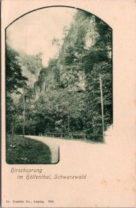 Germany Hirschsprung Im Höllental Schwarzwald Vintage Postcard 09.79