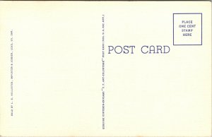 Above the Clouds Harney Peak Black Hills South Dakota Postcard UNP Linen