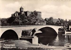 BG31309 ruine burg giebichenstein   halle saale   germany   CPSM 14.5x10cm