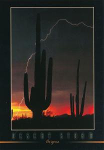 Sunset and Desert Storm Lightning over Saguaro Cactus AZ, Arizona