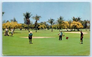 HOLLYWOOD, FL Florida ~ HOLLYWOOD BEACH GOLF CLUB c1950s Broward County Postcard