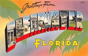 Greetings From Clearwater, Florida USA Unused 