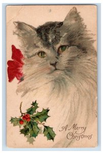 C.1910 Bow Cat Holly Merry Christmas Postcard F122E