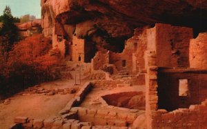 Vintage Postcard Spruce Tree Ruin Mesa Verde National Park Colorado CO