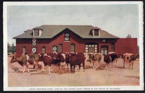 Colorado COLORADO SPRINGS Union Printers Home Finest Dairy Herds - White Border