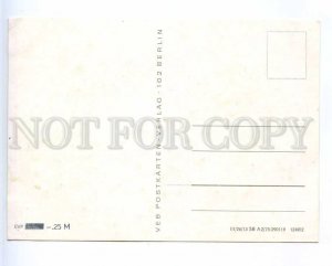 221277 GERMANY sunflowers with applique old postcard