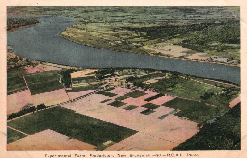 Vintage Postcard 1920's Experimental Farm Fredericton New Brunswick Canada