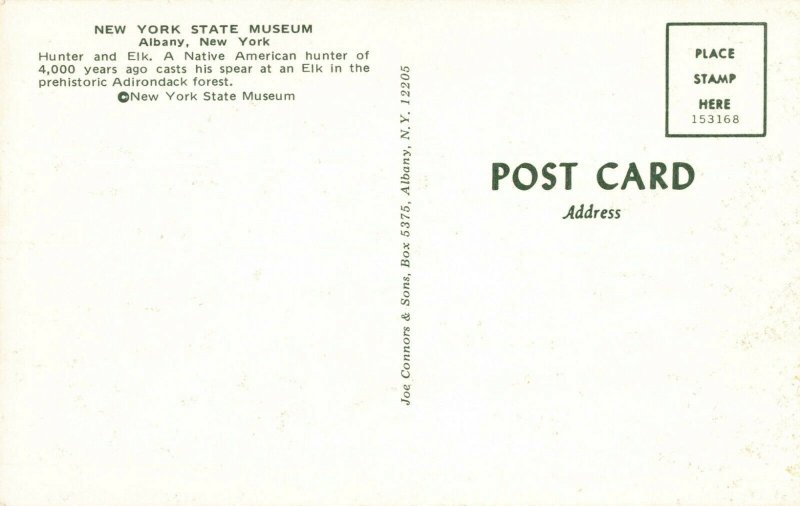 Postcard Hunter and Elk Museum Albay New York 