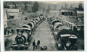 Logging Railroad Trains Ready For The Mills 1910c postcard