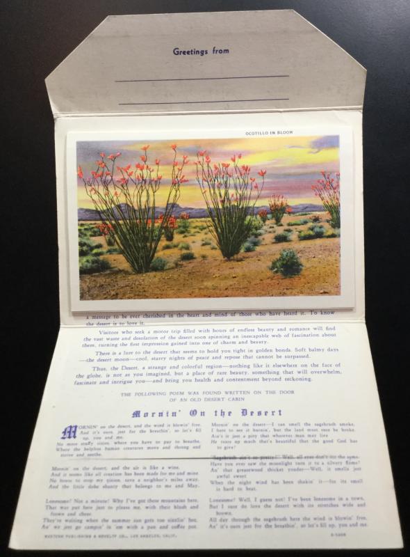 Unused Linen Souvenir Folder w/9 Double sided pics New Mexico LB