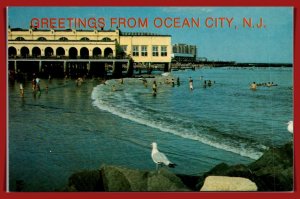 New Jersey, Ocean City - Greetings - Birdseye View - [NJ-269]