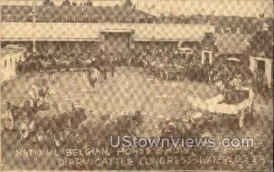 National Belgian Horse Show - Waterloo, Iowa IA  