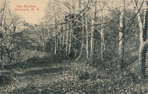 The Birches at Gowanda NY, New York (Erie or Cattaraugus County) - pm 1920 - DB