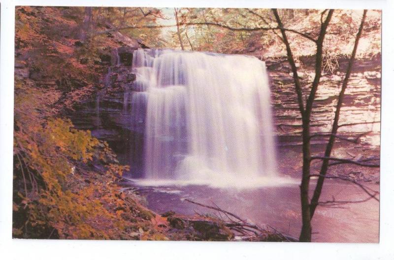 Waterfall Ricketts Glen State Park Harrison Wright Falls PA 