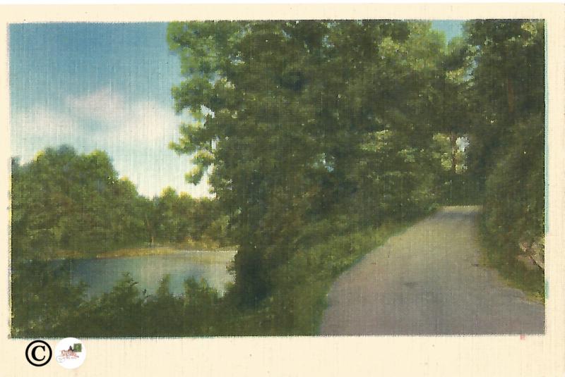 North Carolina Roadside Scene By River Vintage Postcard Linen Postcard