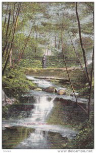 OIL CITY, Pennsylvania, PU-1910; Small Waterfall, A Pretty View Near Oil City