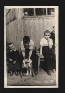 3076052 RUSSIA Boys playing w/ CAT in Carriage REAL PHOTO old