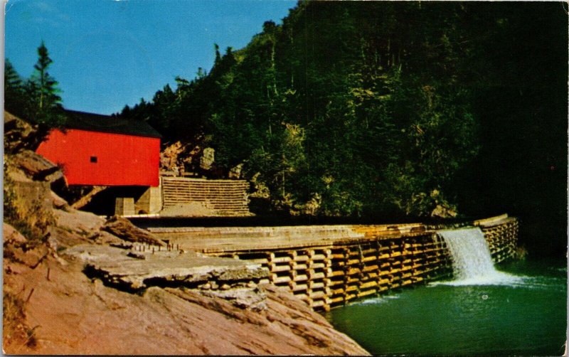 Vtg Fundy National Park New Brunswick Canada Scene from Campground Postcard