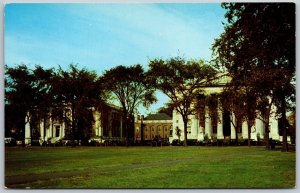 Postcard New Haven Connecticut CT Library Courthouse Trees 1950s Chrome