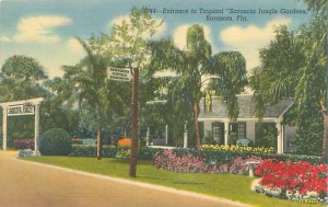 Sarasota Florida Entrance to Sarasota Jungle Gardens Linen Postcard Unused