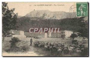 Old Postcard La Sainte Baume Vue Generale Shepherd Sheep