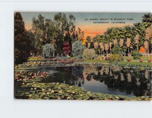 Postcard Scenic Beauty In McKinley Park, Sacramento, California