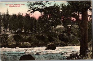 The Rapids on the Spokane River, Spokane WA Vintage Postcard T40