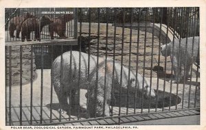Polar Bear, Zoological Garden Philadelphia, Pennsylvania PA  