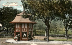 Ballston Spa New York Iron Spring Watering Place c1900-20s Vintage Postcard