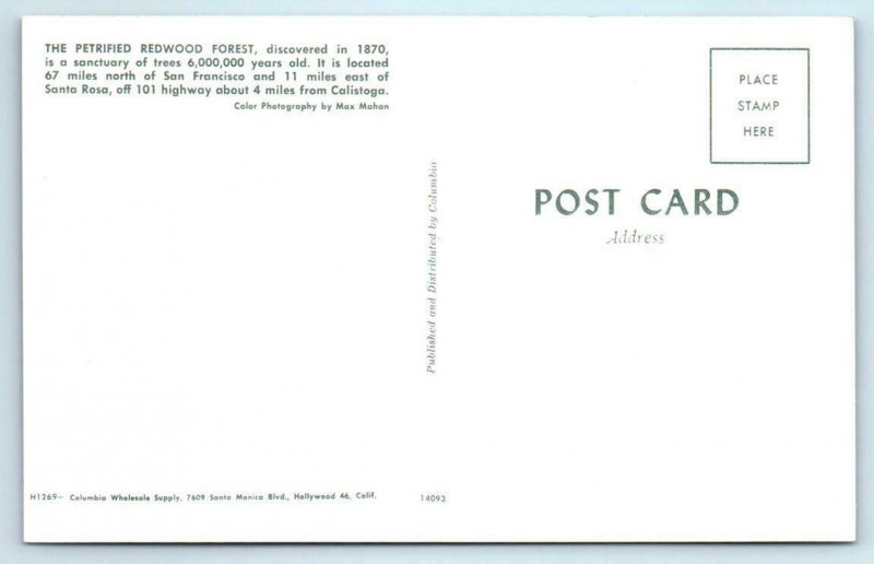 Sonoma County, CA ~ PETRIFIED REDWOOD FOREST Roadside c1960s Postcard