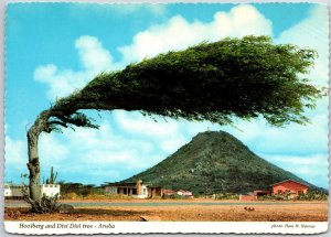 Hooiberg and Divi Divi Tree - Aruba Netherlands Countryside Landmark Postcard 