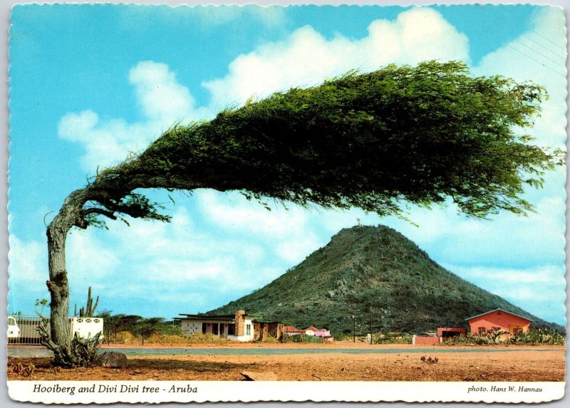 Hooiberg and Divi Divi Tree - Aruba Netherlands Countryside Landmark, Postcard