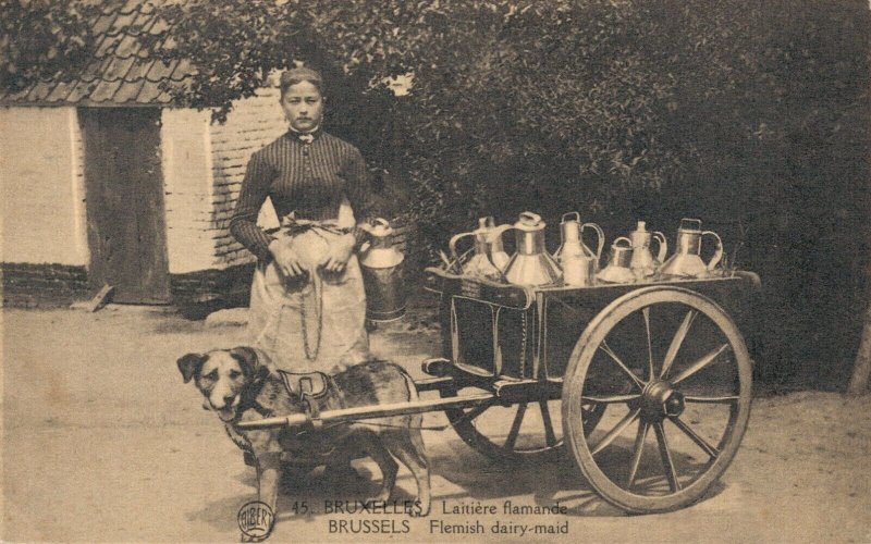 Belgium - Bruxelles Laitière flamande Dog cart Brussels 03.47