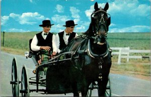 Pennsylvania Amish Country Boys Riding In Sunday Dress Riding In Courting Buggy