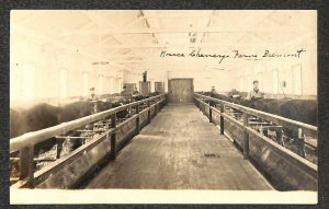 RPPC HORACE CHENEY FARM BELMONT COWS MORRILL MAINE RFD REAL PHOTO POSTCARD 1907