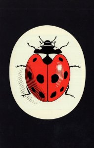 Ladybird Childrens Book Giant Commemorative Logo Postcard