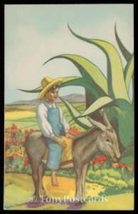 Typical Scene - Mexico