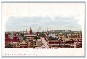 1910 Bird's Eye View Building Towers Road Trees St. Paul Minnesota MN Postcard