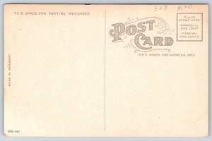 La Crosse Wisconsin~4th Street North @ Pearl~c1910 Postcard